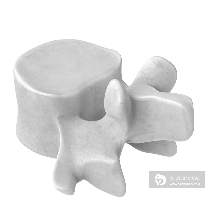 3d rendering illustration of a stylized human lumbar vertebra