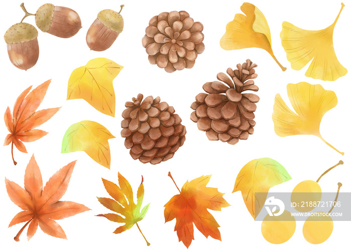 秋の紅葉と木の実のイラストセット／Illustration set of autumn leaves and nuts