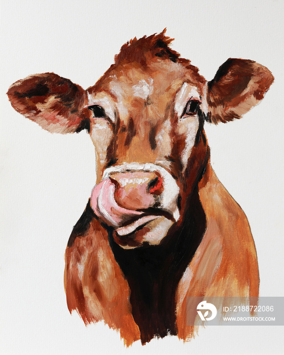 A cute brown cow licks her nose with her tongue. Modern oil painting of a domestic animal. Cartoon portrait of a cow