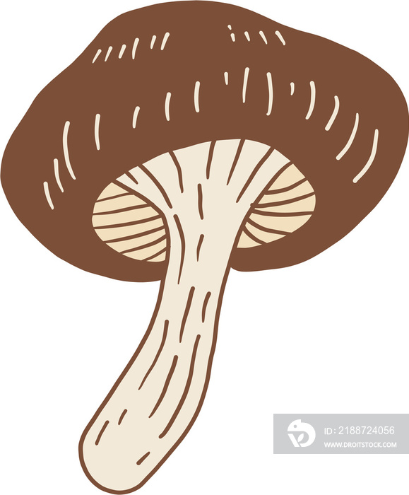 doodle freehand sketch drawing of shitake mushroom vegetable.