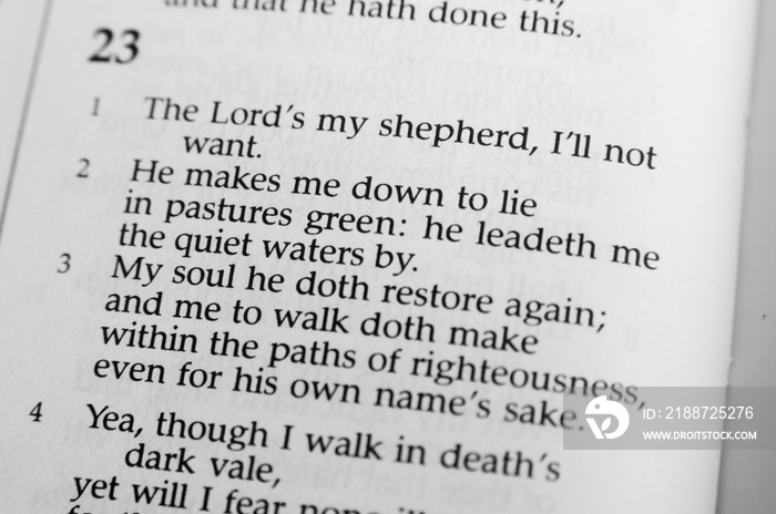 Psalm 23: The Lord is my shepherd, I’ll Not Want