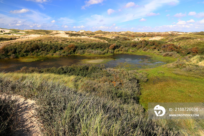 Dunes in Egmond aan Zee. North Sea, the Netherlands.