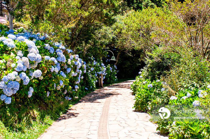 Path in the middle of nature, Lago Negro, Gramado-RS, Brazil, Tourism in the Serra Gaucha.