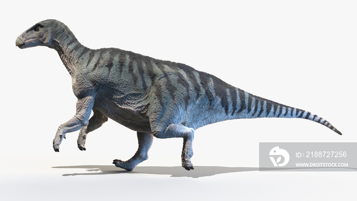 3d rendered illustration of an Iguanodon