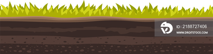 Soil ground and underground layers of green grass