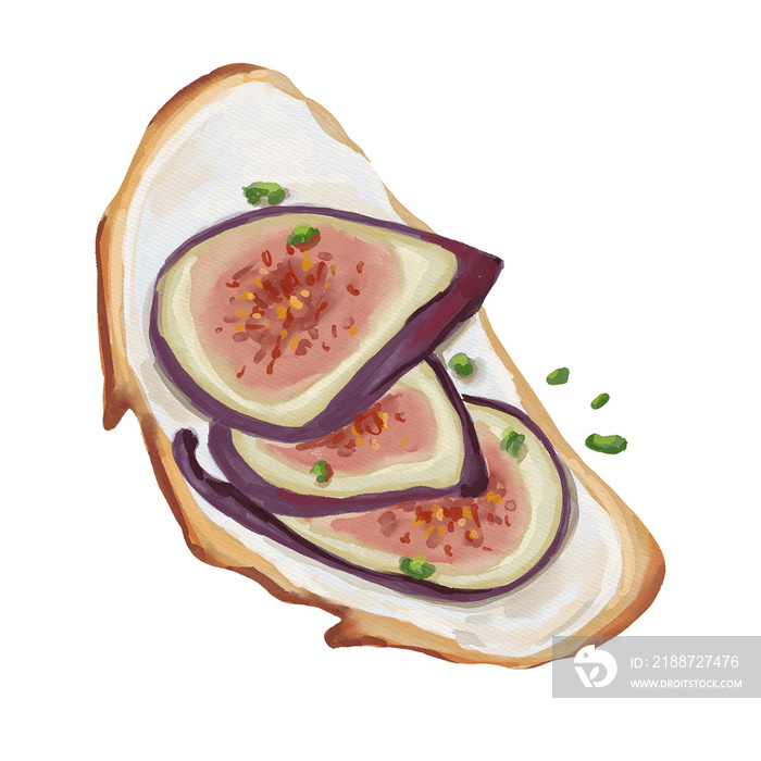 Watercolor food illustration of vegan toast with figs fruits and cream cheese