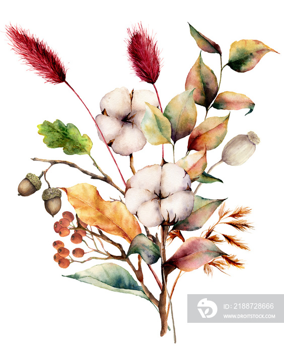 Watercolor autumn bouquet with plants, flowers and berries. Hand painted cotton flowers, lagurus, acorn, leaves and branches isolated on white background. Floral illustration for fall design, print.