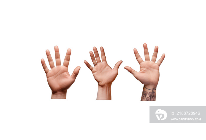 3 hands in the air, isolated png transparent BG, hand gesture, person, human hand