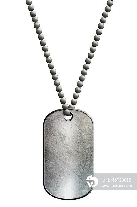 chrome metal tag and necklace.