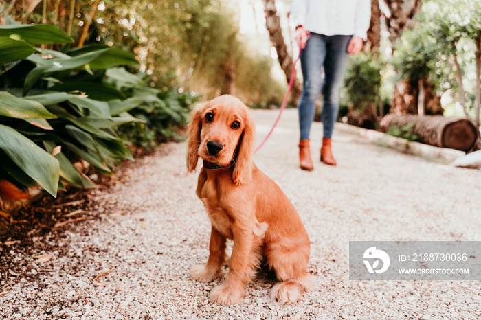 young woman walking with her cute puppy of cocker spaniel outdoors