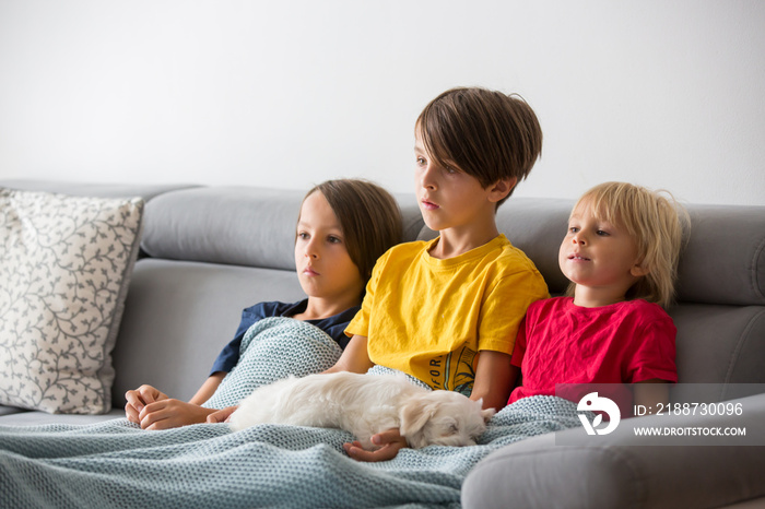 Cute children, brothers watching TV with little puppy dog, lying on the sofa with soft blanket