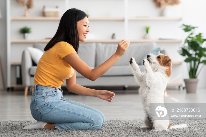 Happy asian woman training her puppy, giving treats