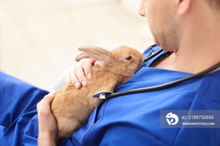 Professional young veterinarian is curing sick animal