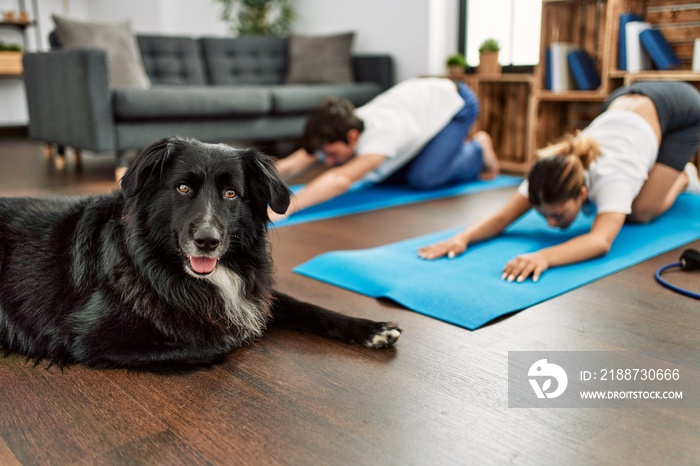 Young caucasian couple concentrate training yoga with dog at home.