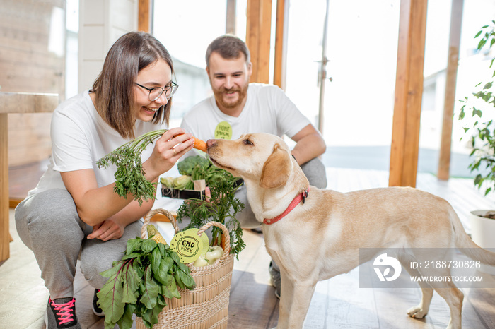 Young couple feeding their dog with healthy green food from the eco market at home