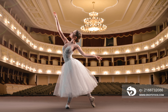 Beautiful young ballerina dancing in theatre