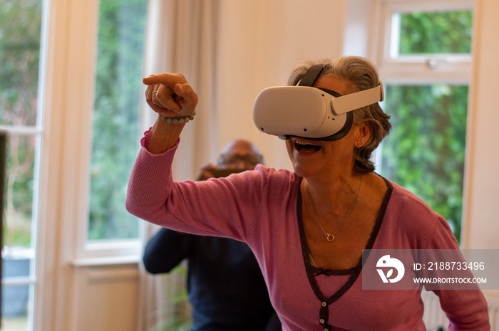 Senior couple having fun with VR set