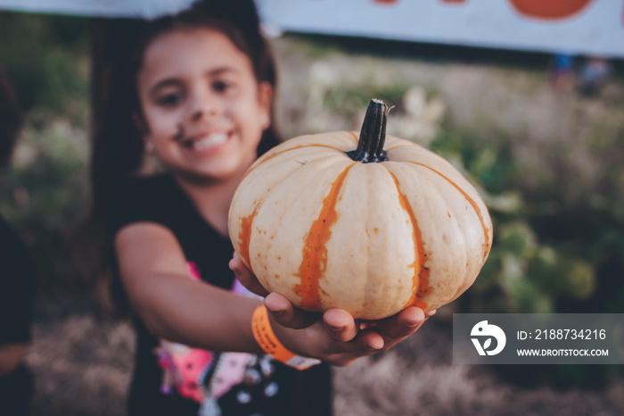 Pumpkin patch in bonita springs florida is south west florida