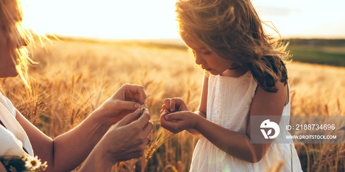 Caucasian mother and her girl holding some wheat seeds in a field during a sunset