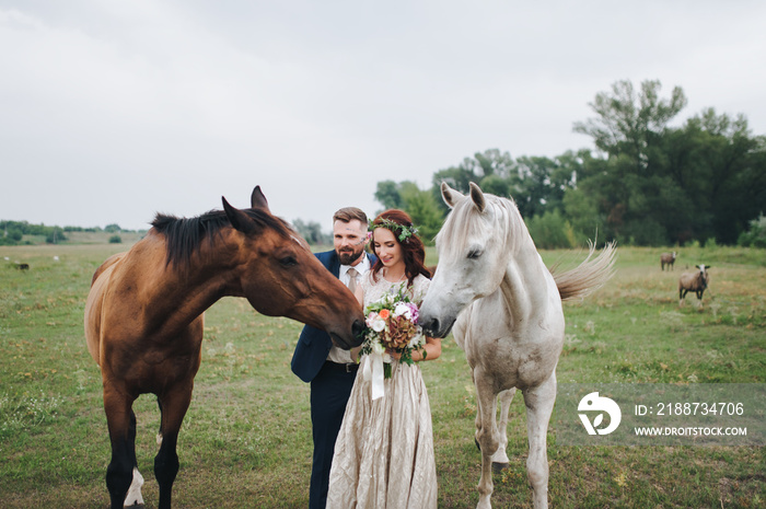 The newlyweds, walking in a forest glade, met two wild horses. Wedding walk in nature. Horses sniff a wedding bouquet.