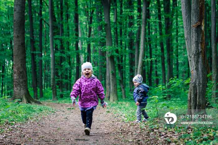 happy kids play in the forest