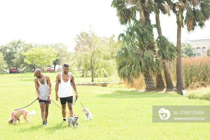 USA, Louisiana, Gay couple with dogs on lawn in park