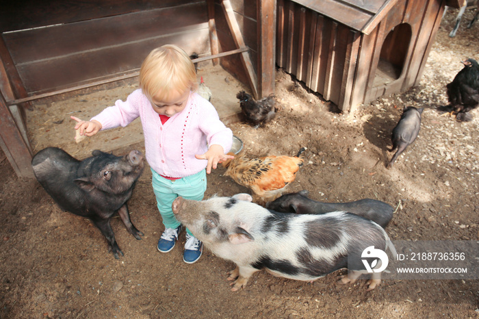 Cute little girl with animals in petting zoo