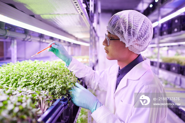 Side view portrait of young technician checking humidity in nursery greenhouse, copy space