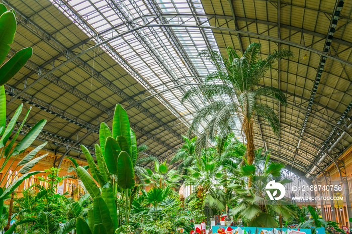 Tropical green house, located in the Atocha Railway Station in Madrid.