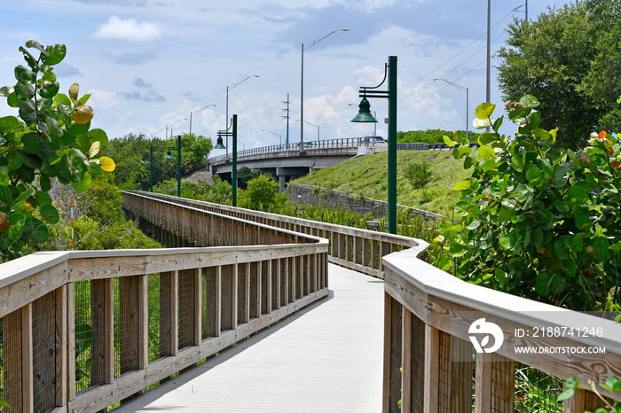 Wooden boardwalk nature walking trail in Port St Lucie, Florida