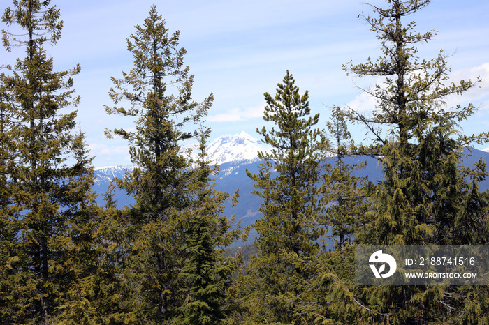 Trees and mountains