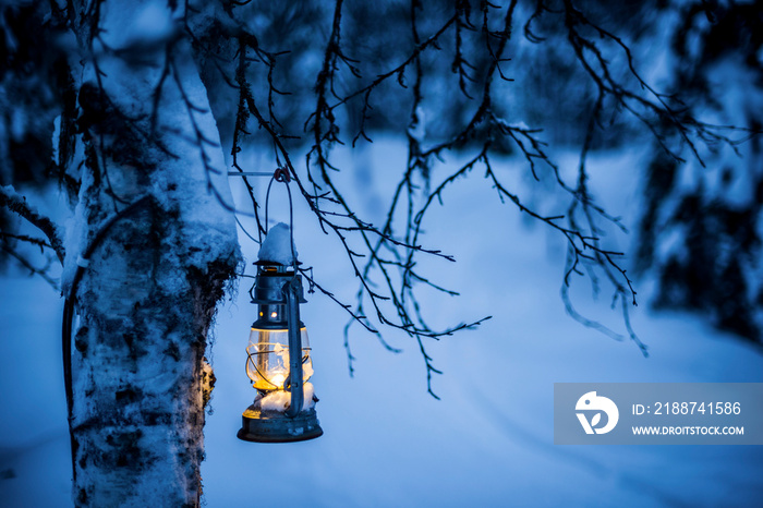 Christmas glass lantern in a mysterious winter forest scenery, Lapland, Arctic Circle, Finland