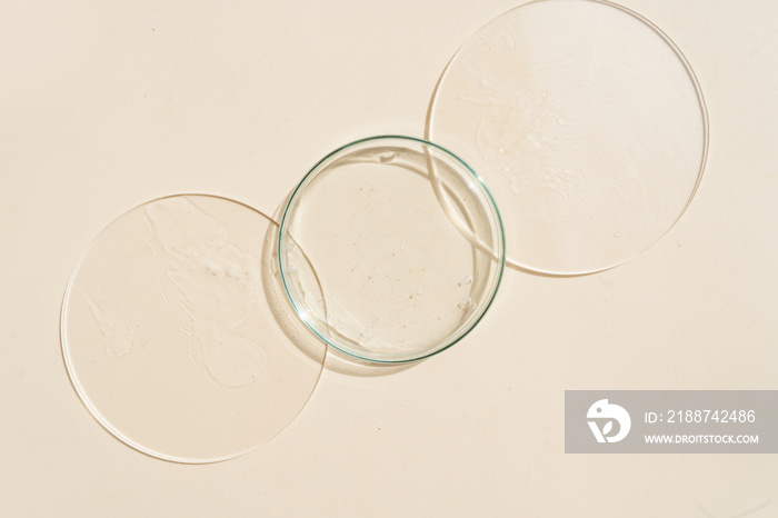 Glass petri dish with transparent pure serum for skin care