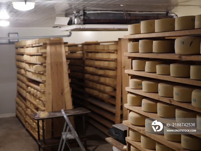 Cave d’affinage du fromage Ossau Iraty au Pays basque