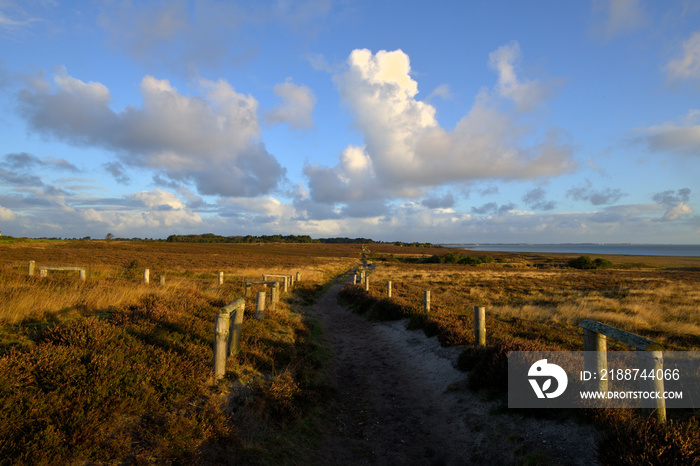 Ein Panorama vom Naturschutzgebiet Braderuper Heide auf Sylt im schönen Morgenlicht und ein Wanderweg führt in die  Ferne.