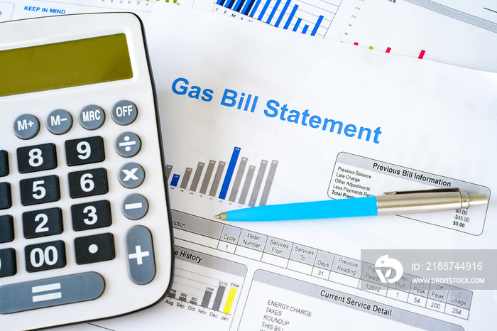 Home heating gas expenses and bill statement document