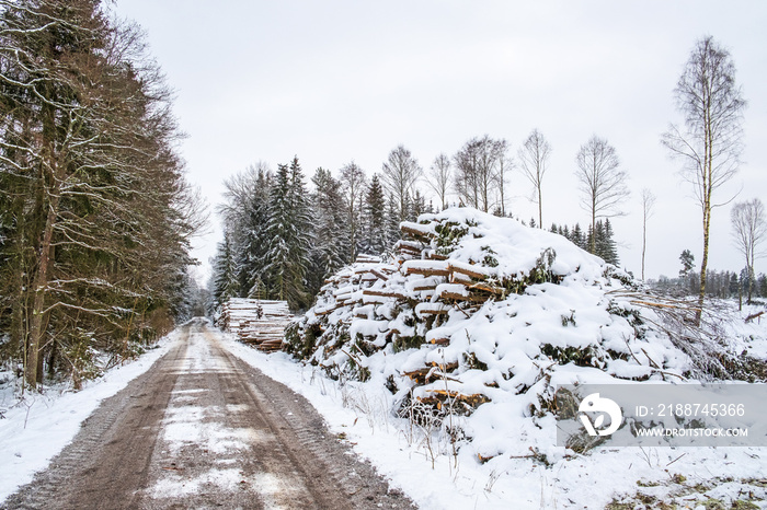 Forest road by a clear cutting with timber piles in winter