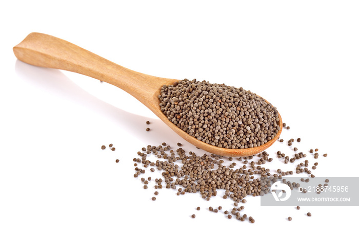 Perilla herb seed in wooden spoon on white background