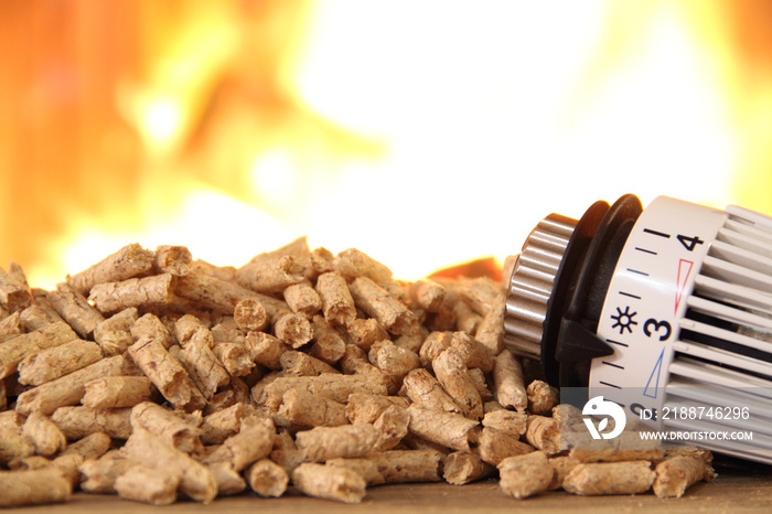 a wood stove with pellets, wood, toy house and a radiator thermostat