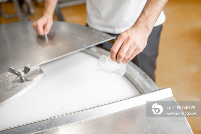 Worker adding supplements during the milk fermentation process in the stainless tank at the cheese manufacturing. Close-up view with no face