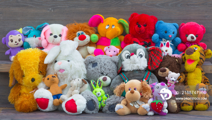 Stuffed animal toys