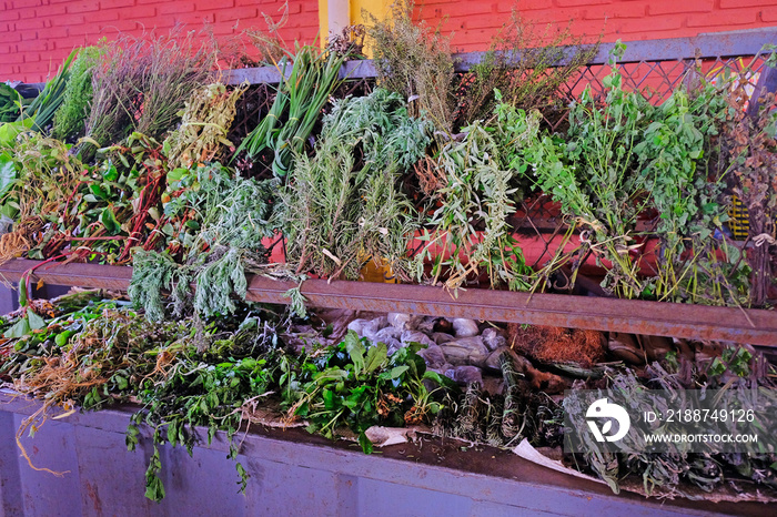 Alternative medicine fresh herbs and ingredients at farmers market in Villarrica, Paraguay, South America