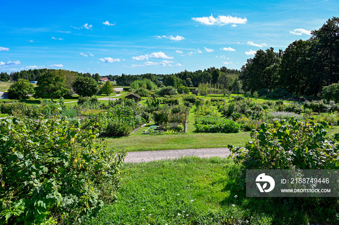 overlooking lots of flowers and vegetables in public garden