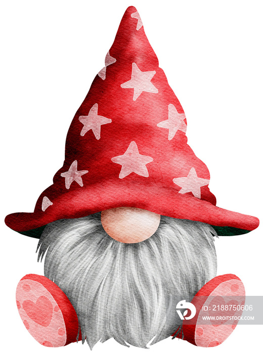 Cute Gnome Christmas Cartoon