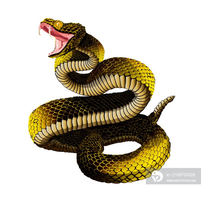 snake in the form of a snake