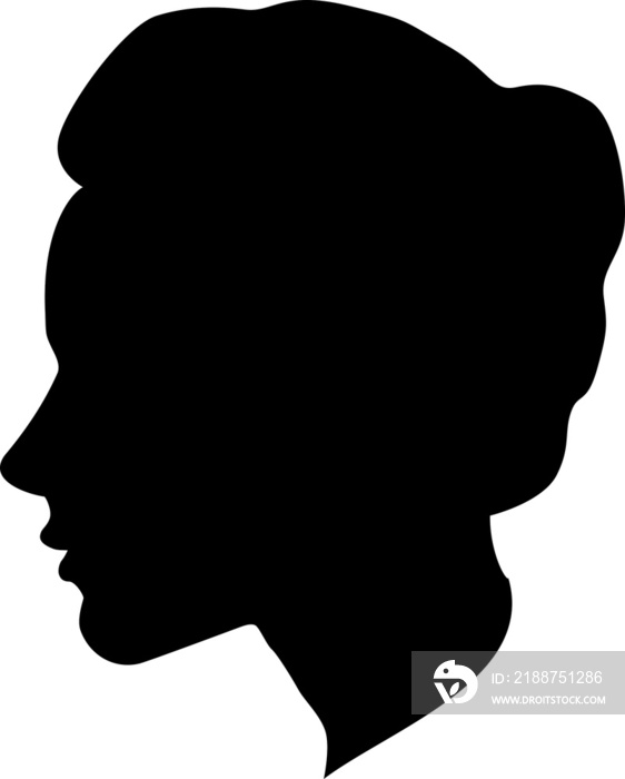 Silhouette of a person. Adult female profile. Feminine face. Silhouette of a face. Woman. Girl. Trace of a human profile. Photo