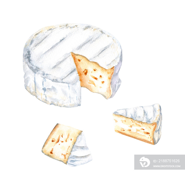 Brie, Camembert cheese set. Watercolor illustration isolated on white background