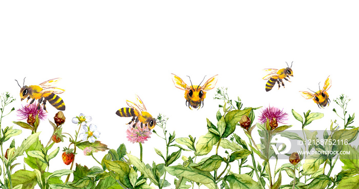 Honey bees making honey in summer flowers, wild meadow grasses. Floral horizontal border. Watercolour for apiculture