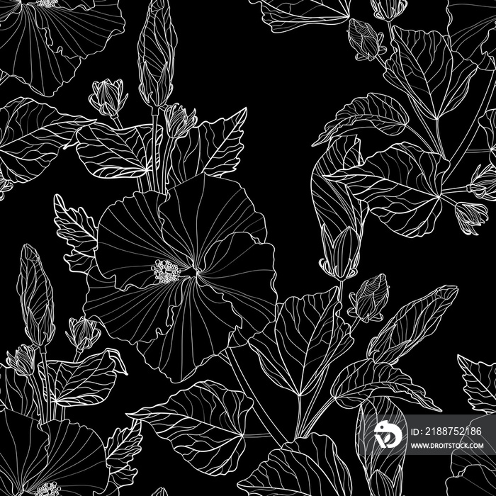 Seamless pattern white line hibiscus flowers and leaves on black background. Illustration line art drawing.