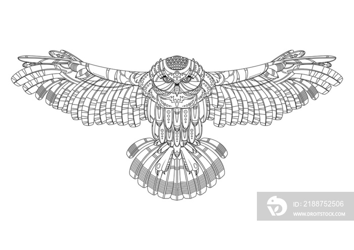 Owl coloring book for adults PNG illustration with transparent background